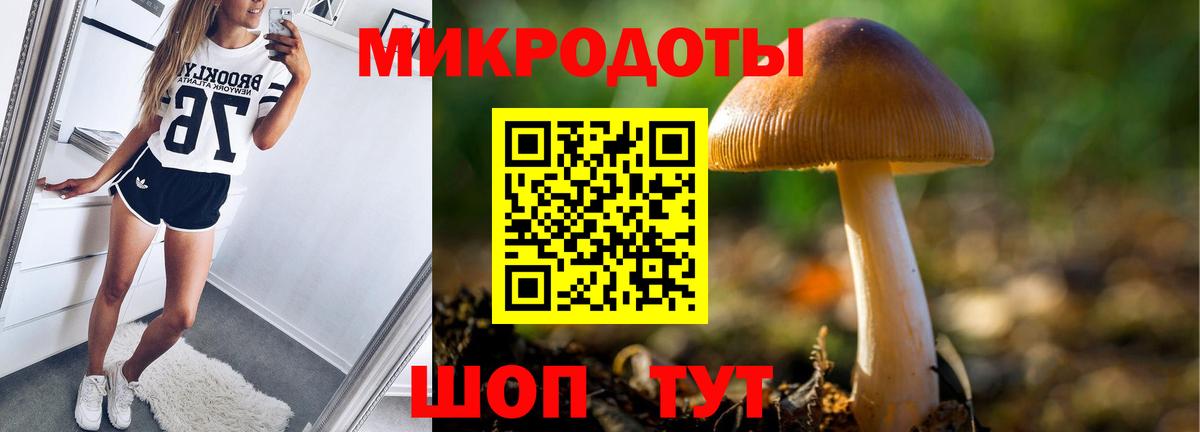 Галлюциногенные грибы мицелий  Галлюциногенные грибы Psilocybe  Тольятти  Вход с VPN 
